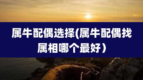属牛配偶选择(属牛配偶找属相哪个最好)