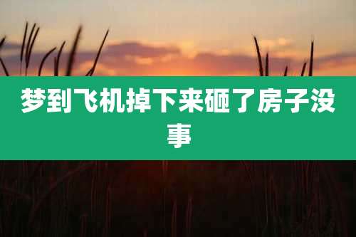 梦到飞机掉下来砸了房子没事