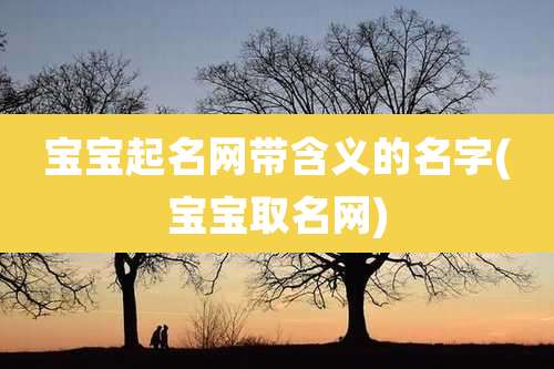 宝宝起名网带含义的名字(宝宝取名网)