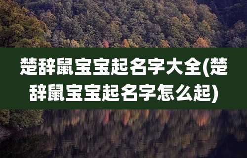 楚辞鼠宝宝起名字大全(楚辞鼠宝宝起名字怎么起)