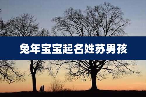 兔年宝宝起名姓苏男孩