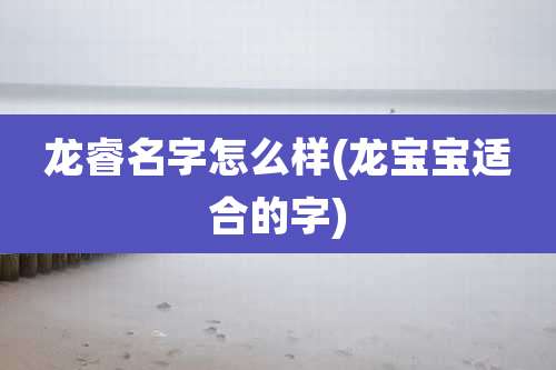 龙睿名字怎么样(龙宝宝适合的字)