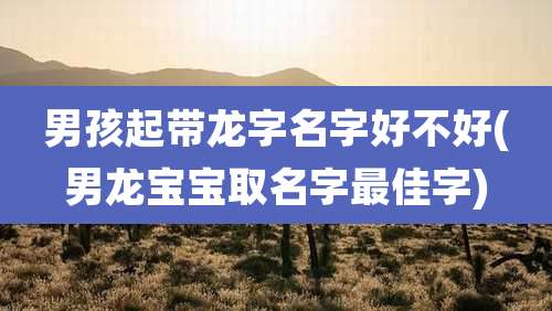 男孩起带龙字名字好不好(男龙宝宝取名字最佳字)