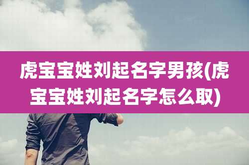 虎宝宝姓刘起名字男孩(虎宝宝姓刘起名字怎么取)