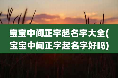 宝宝中间正字起名字大全(宝宝中间正字起名字好吗)
