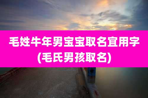 毛姓牛年男宝宝取名宜用字(毛氏男孩取名)