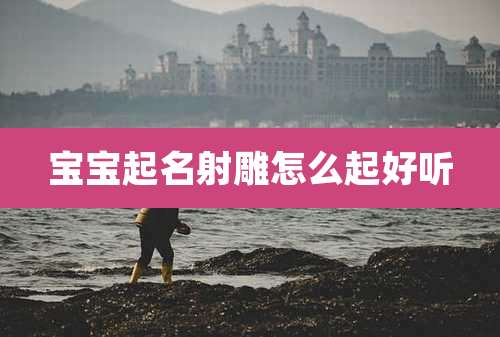 宝宝起名射雕怎么起好听