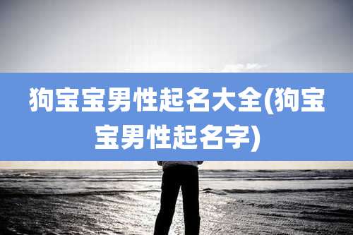狗宝宝男性起名大全(狗宝宝男性起名字)