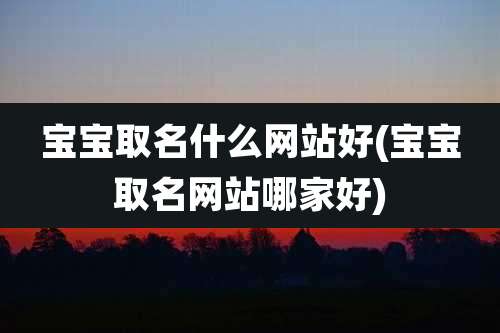 宝宝取名什么网站好(宝宝取名网站哪家好)