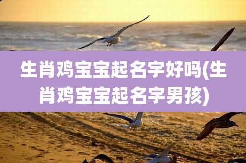 生肖鸡宝宝起名字好吗(生肖鸡宝宝起名字男孩)