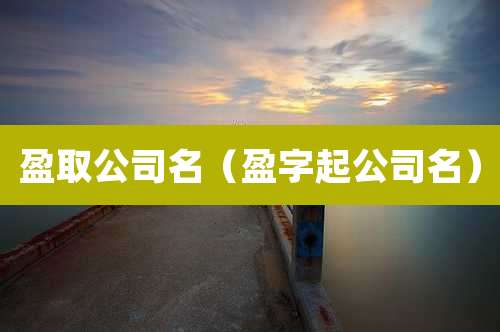 盈取公司名（盈字起公司名）