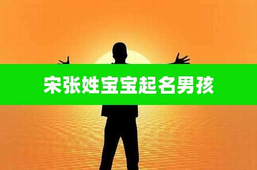 宋张姓宝宝起名男孩