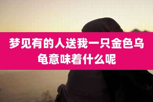 梦见有的人送我一只金色乌龟意味着什么呢