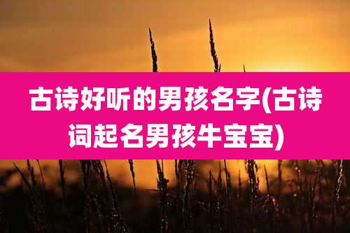 古诗好听的男孩名字(古诗词起名男孩牛宝宝)