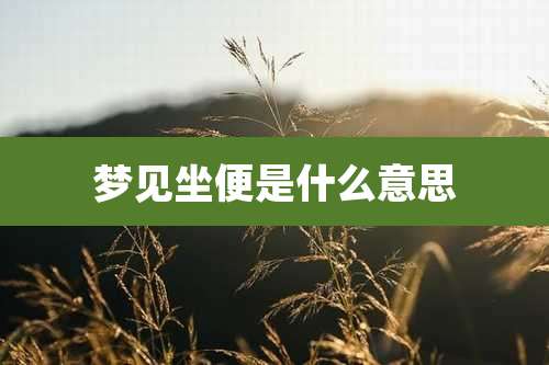 梦见坐便是什么意思