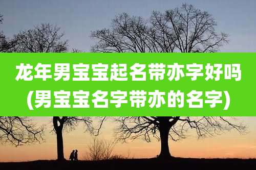 龙年男宝宝起名带亦字好吗(男宝宝名字带亦的名字)