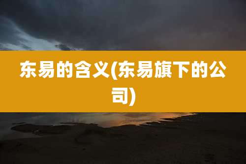 东易的含义(东易旗下的公司)