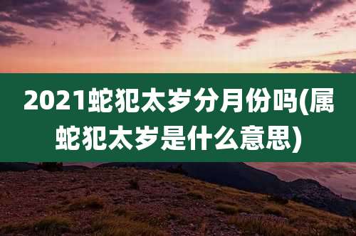 2021蛇犯太岁分月份吗(属蛇犯太岁是什么意思)