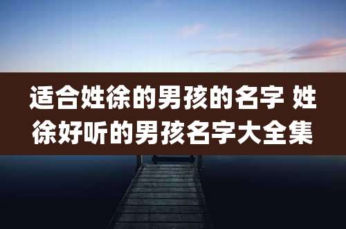 适合姓徐的男孩的名字 姓徐好听的男孩名字大全集