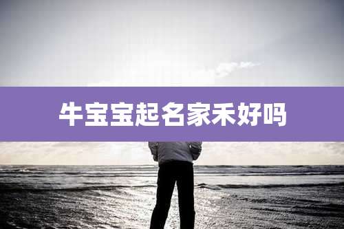 牛宝宝起名家禾好吗