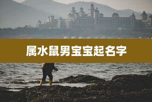 属水鼠男宝宝起名字