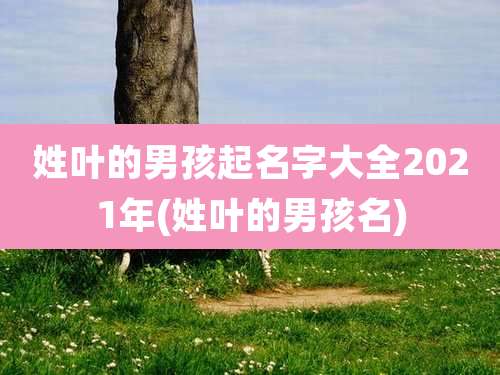 姓叶的男孩起名字大全2021年(姓叶的男孩名)