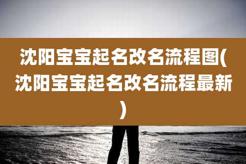 沈阳宝宝起名改名流程图(沈阳宝宝起名改名流程最新)