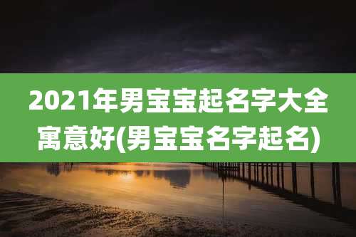 2021年男宝宝起名字大全寓意好(男宝宝名字起名)
