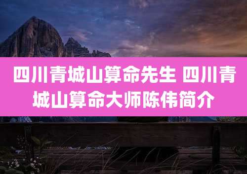 四川青城山算命先生 四川青城山算命大师陈伟简介