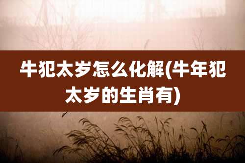牛犯太岁怎么化解(牛年犯太岁的生肖有)