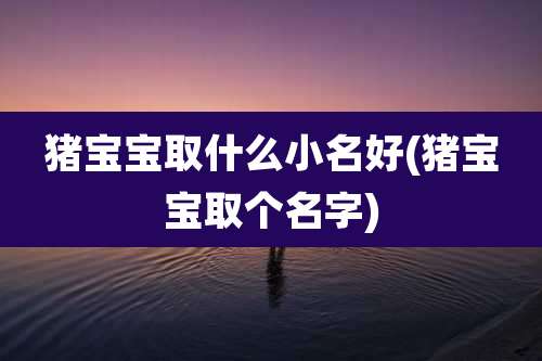 猪宝宝取什么小名好(猪宝宝取个名字)