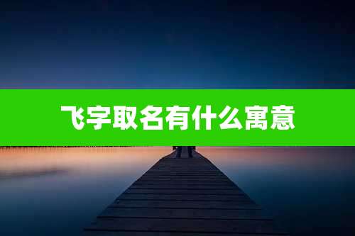 飞字取名有什么寓意