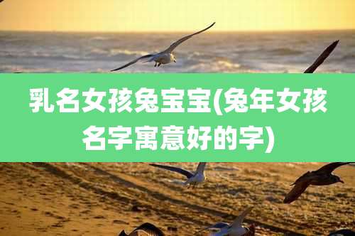 乳名女孩兔宝宝(兔年女孩名字寓意好的字)