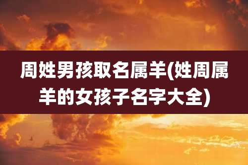 周姓男孩取名属羊(姓周属羊的女孩子名字大全)