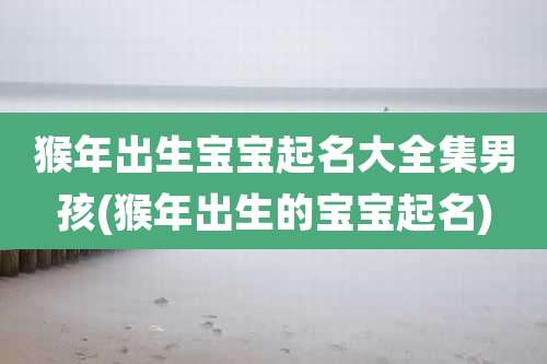 猴年出生宝宝起名大全集男孩(猴年出生的宝宝起名)