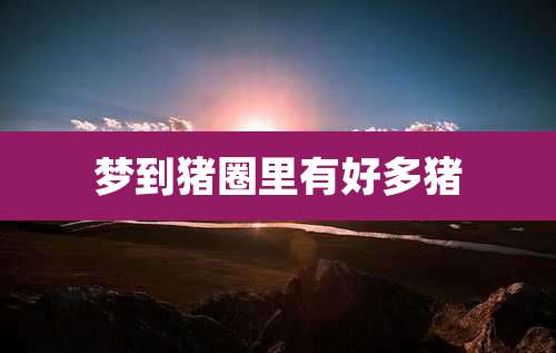 梦到猪圈里有好多猪