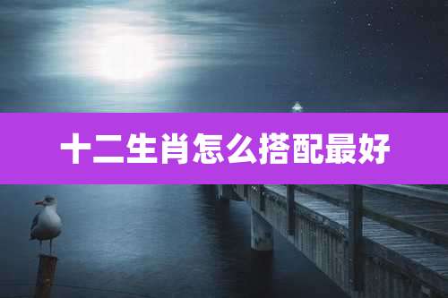 十二生肖怎么搭配最好