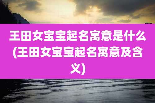 王田女宝宝起名寓意是什么(王田女宝宝起名寓意及含义)