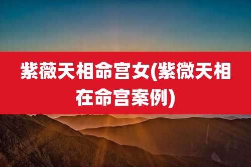 紫薇天相命宫女(紫微天相在命宫案例)