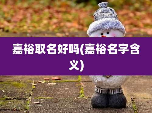 嘉裕取名好吗(嘉裕名字含义)