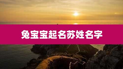 兔宝宝起名苏姓名字