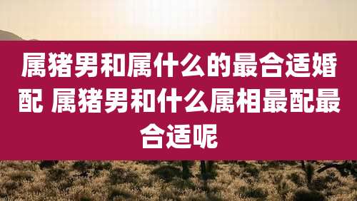 属猪男和属什么的最合适婚配 属猪男和什么属相最配最合适呢