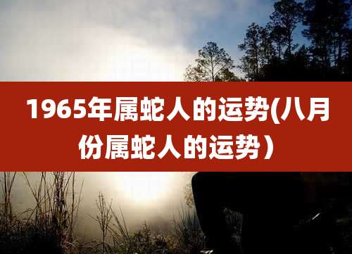 1965年属蛇人的运势(八月份属蛇人的运势）