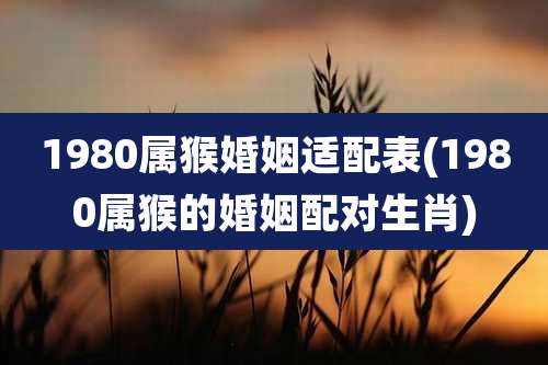 1980属猴婚姻适配表(1980属猴的婚姻配对生肖)