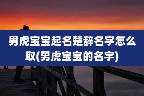 男虎宝宝起名楚辞名字怎么取(男虎宝宝的名字)