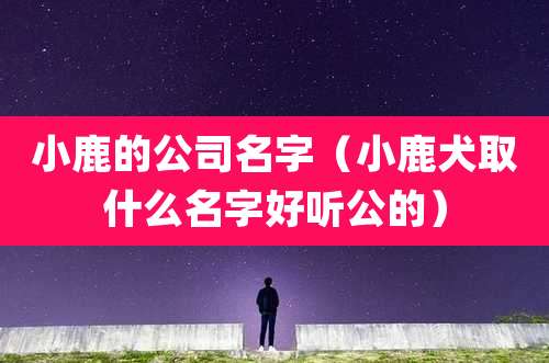 小鹿的公司名字（小鹿犬取什么名字好听公的）
