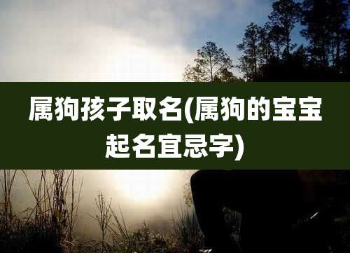 属狗孩子取名(属狗的宝宝起名宜忌字)