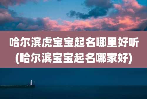 哈尔滨虎宝宝起名哪里好听(哈尔滨宝宝起名哪家好)