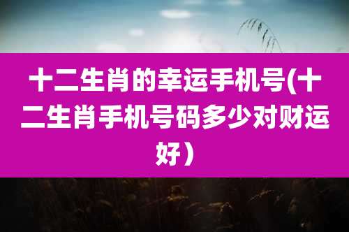 十二生肖的幸运手机号(十二生肖手机号码多少对财运好）