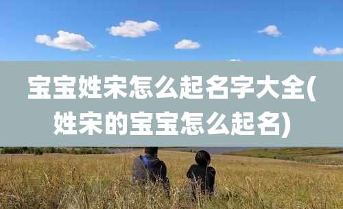 宝宝姓宋怎么起名字大全(姓宋的宝宝怎么起名)